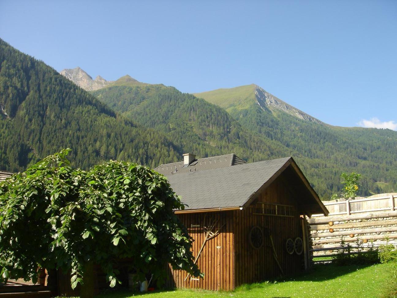 Gästehaus Marianne Baier Zederhaus Exterior foto